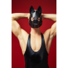 Маска собаки для BDSM: D&A