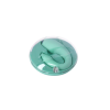 Вібратор для пар FairyGasm PleasureBerry green, зарядний кейс, пульт ДК