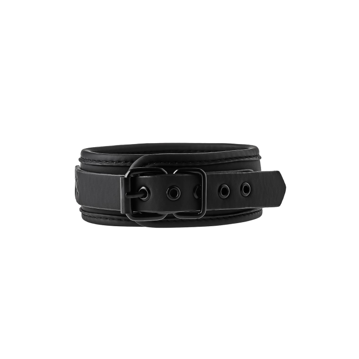 Нашийник з повідцем BLAZE COLLAR AND CHAIN BLACK