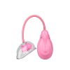 Вібропомпа для вагіни DREAM TOYS VIBRATING VAGINA PUMP