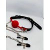 Кляп із затискачами на соски DS Fetish Locking gag with nipple clamps black/red