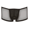 Труси чоловічі Men's Pants L