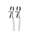 Затискачі на соски TABOOM Nipple Play Adjustable Clamps With Chain зі сріблястим ланцюжком