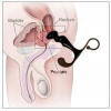 Масажер простати ToyJoy Power Plug Prostate Massager, червоний
