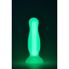 Анальна люмінесцентна пробка Dream Toys RADIANT Glow In The Dark зелена, S