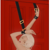 Обмежувачі для рук над дверимаUPKO Over the Door Hand Restraints