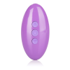 Вібратор-метелик кліторальний з пультом Remote Wireless Butterfly