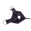 Трусики для страпону Chisa R.G.B Sex Luxe Harness, чорні
