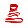 Нашийник з повідцем DS Fetish Collar with leash red metal