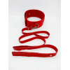Нашийник з повідцем DS Fetish Collar with leash red metal