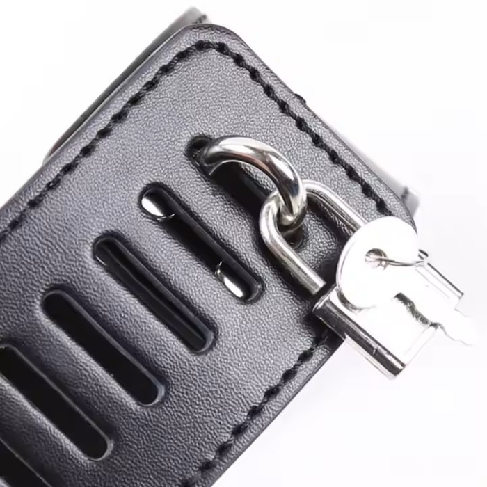 Нашийник з наручниками чорні DS Fetish із сріблястою фурнітурою