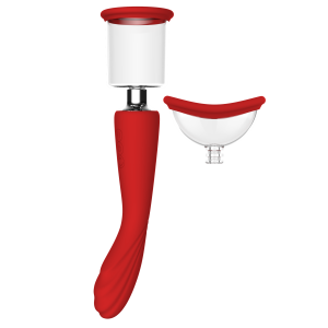 Подвійний вібратор з 2 вакуумними насадками Dream Toys RED REVOLUTION GEORGIA