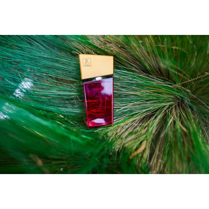 Духи з феромонами жіночі SHIATSU Pheromone Fragrance women red, 15 мл