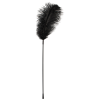Перо Black feather Bad Kitty