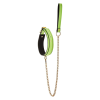 Нашийник з повідцем, що світиться у темряві Dream Toys Radiant Glow In The Dark Collar & Leash зелений