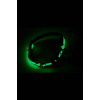 Кляп із кулькою люмінесцентний зелений Dreamtoys RADIANT Glow In The Dark Ball Gag із золотистою фурнітурою