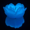 Cвiчка люмінісцентна низькотемпературна GlowKink блакитна, М