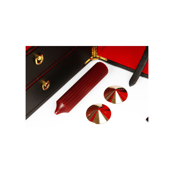 Шафа-валіза для БДСМ-аксесуарів TABOOM Desires Masterpiece Case, 11 предметів