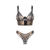 Комплект Obsessive Soranna top & crotchless thong S/M