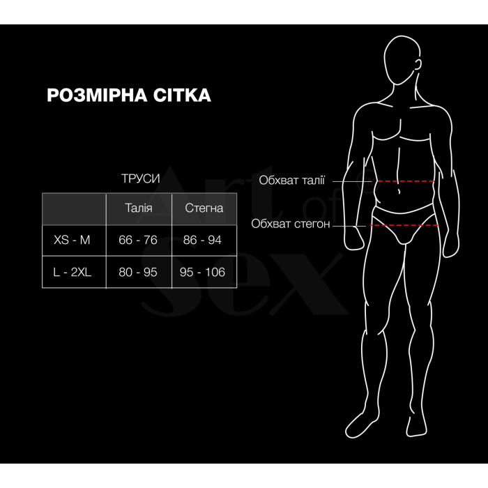 Чоловічі труси з сітки Art of Sex — Demir, колір чорний, розмір L–2XL
