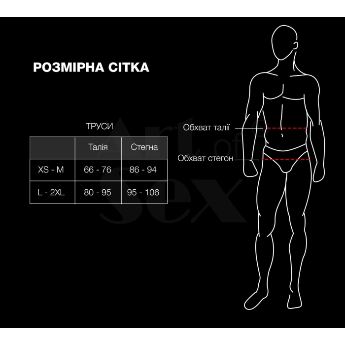 Чоловічі труси з сітки Art of Sex — Demir, колір чорний, розмір XS-M