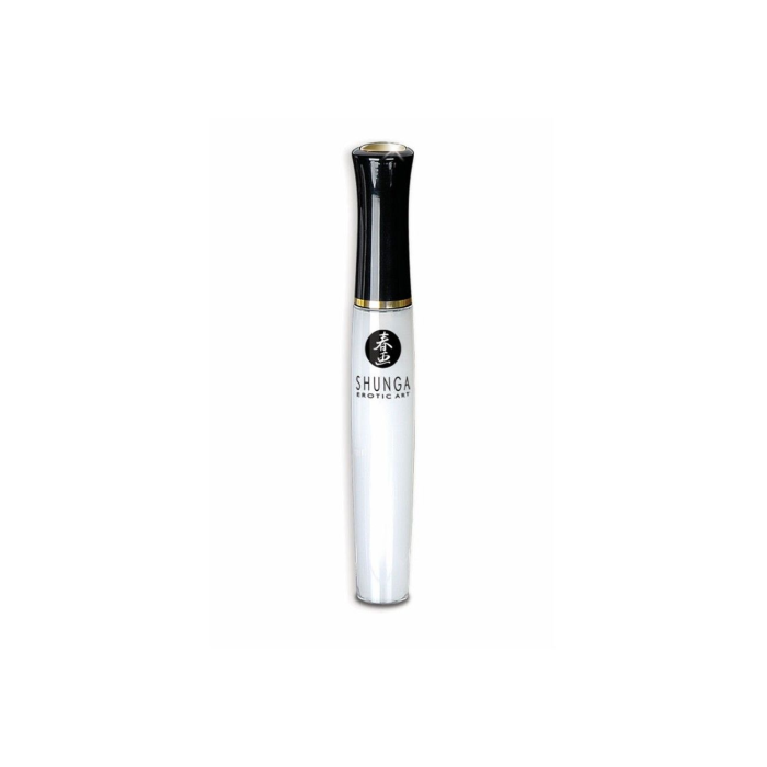 Подарунковий набір Shunga Sweet Kisses Kit